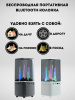 Беспроводная bluetooth-Колонка TU102 Citylight, 10 Вт, TWS, FM/AUX3.5 фото 37291