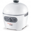 Хлебопечь Moulinex Neo OW120130