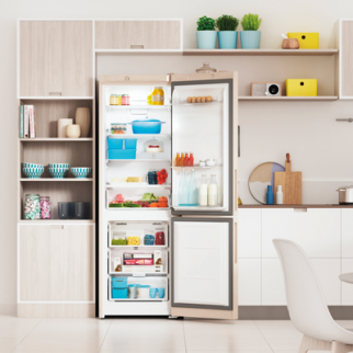 Холодильник INDESIT ITR 4180 E беж. (FNF) фото 47762