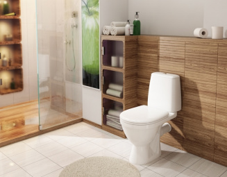 Унитаз Компакт ПРЕМЬЕР ЛЮКС ROSA бел.н/п кн/арм.2хур./сид.микролифт фото 46620