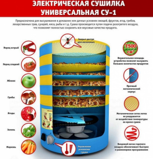 Сушилка для овощей и фруктов электрическая ЭЛВИН СУ-1 фото 17268
