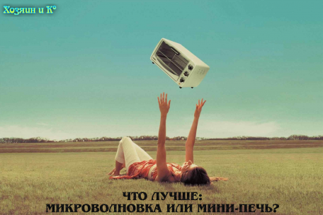 Что лучше: микроволновка или мини-печь?